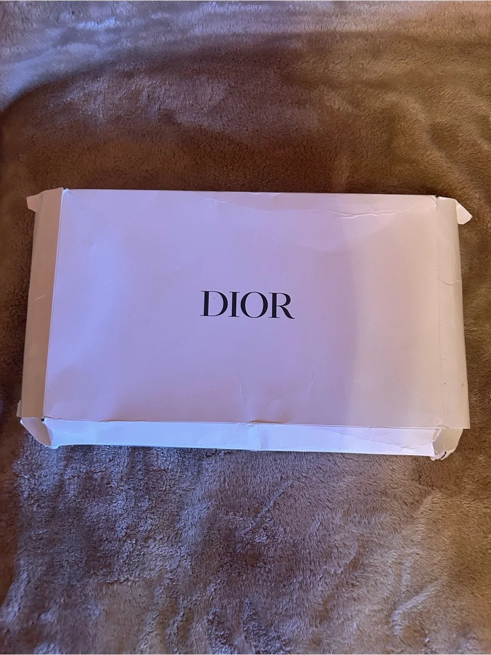 Dior Beige cosmetics bag